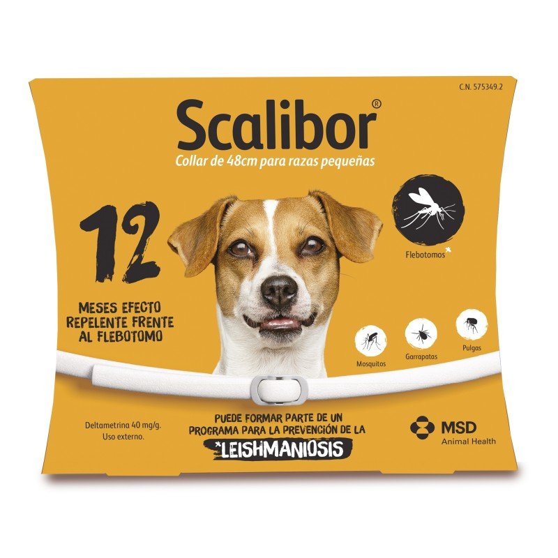 Collar SCALIBOR