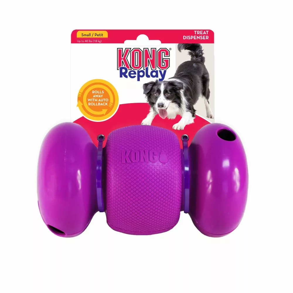 KONG REPLAY - Imagen 3