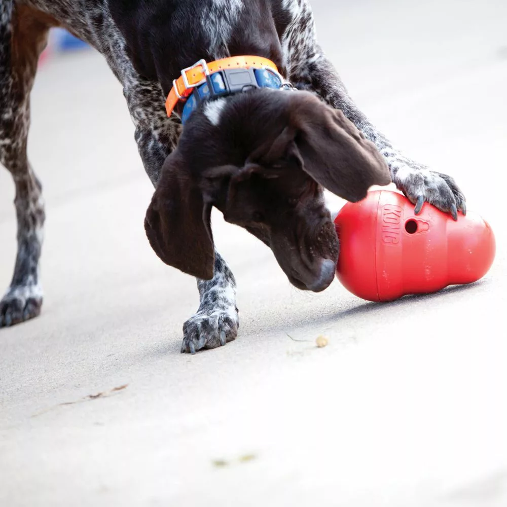 KONG Wobbler - Imagen 3