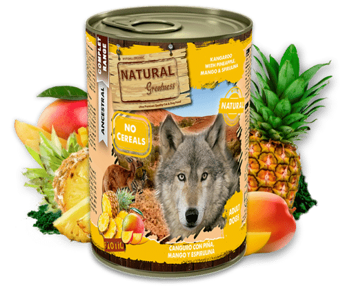 Natural Greatness Canguro con piña