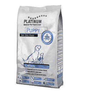 Platinum puppy pollo
