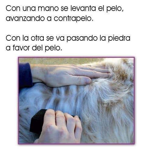 Piedra de trimming y stripping - Imagen 3