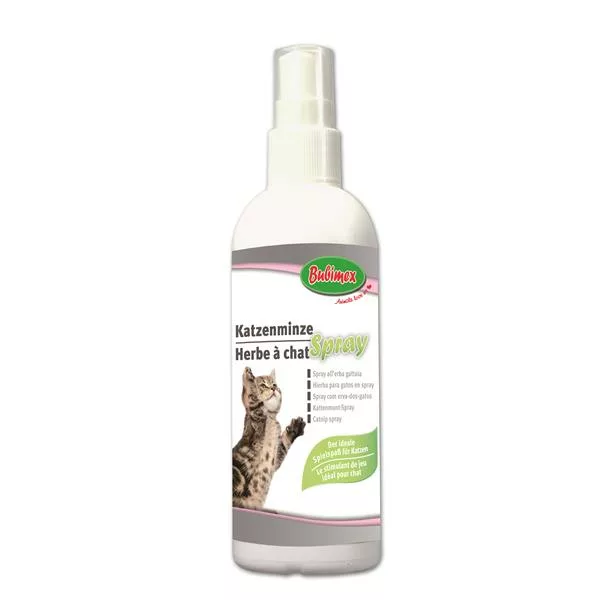 HIERBA PARA GATOS EN SPRAY (CATNIP) BUBIMEX