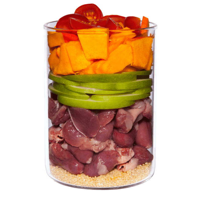 Terra Canis puppy pollo y calabaza 400 gr - Imagen 2