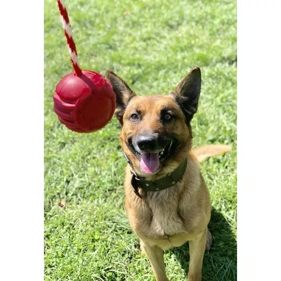 SodaPup Magnun Black Pelota con cuerda - Imagen 6