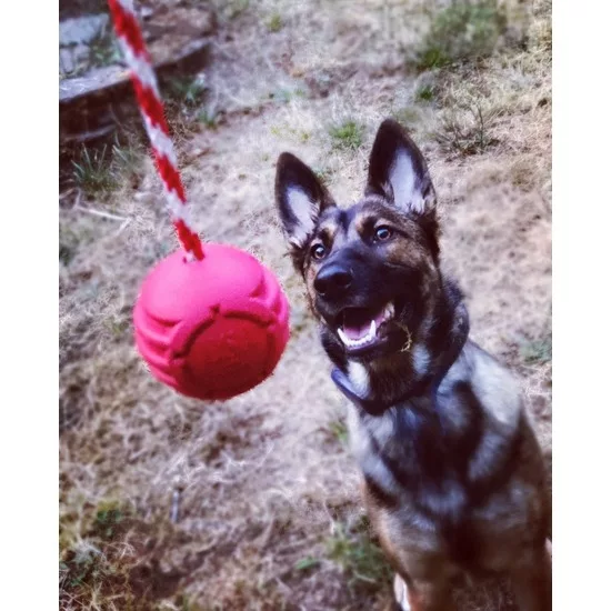 SodaPup Magnun Black Pelota con cuerda - Imagen 5