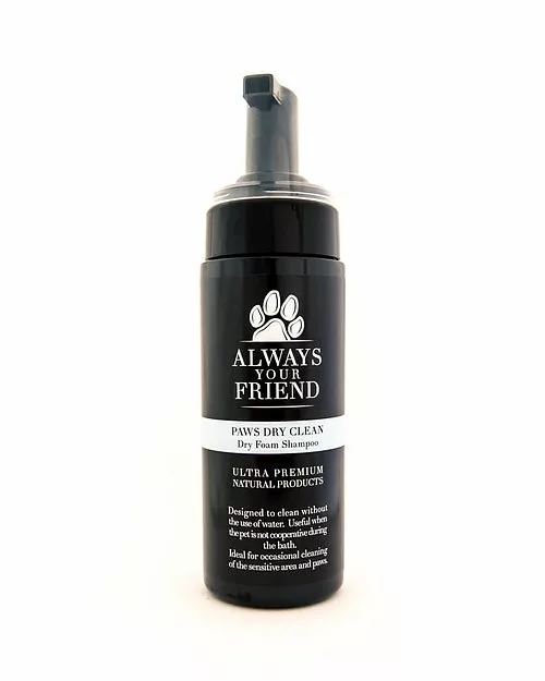 Always Your Friend Champú en seco 150 ml