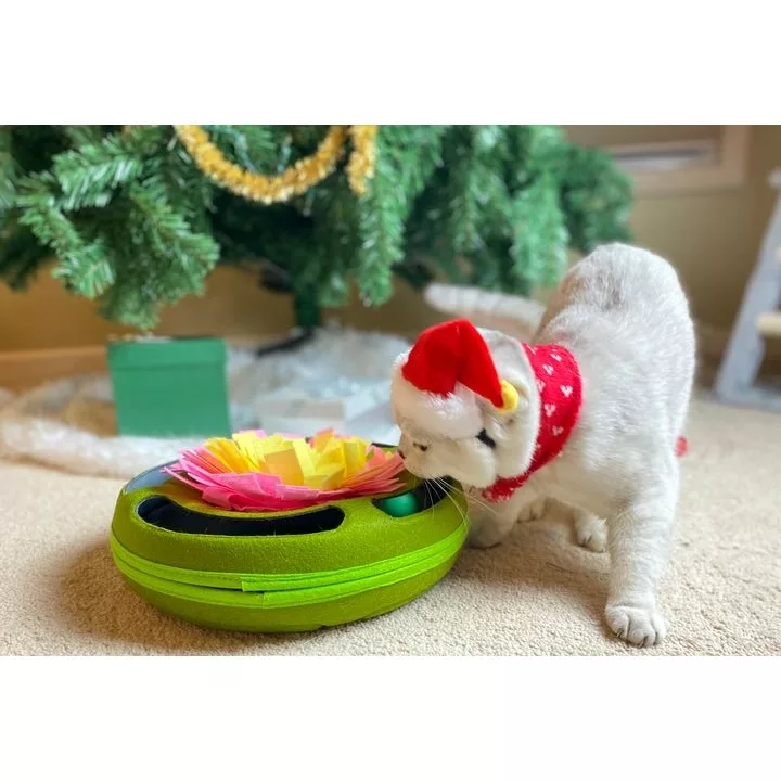 Juguete Rompecabezas Gato - Imagen 2