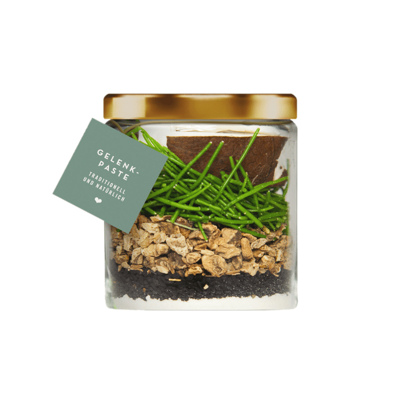 Join Paste Terra Canis - Imagen 2