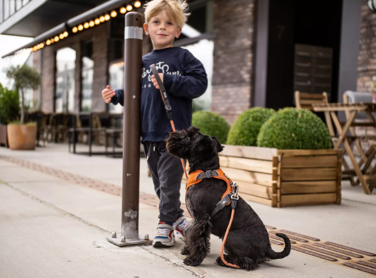 Arnes DOG Copenhagen Confort Walk Pro Fucsia - Imagen 9