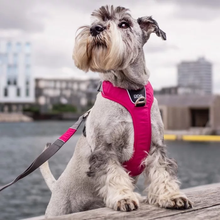 Arnes DOG Copenhagen Confort Walk Pro Rojo - Imagen 10