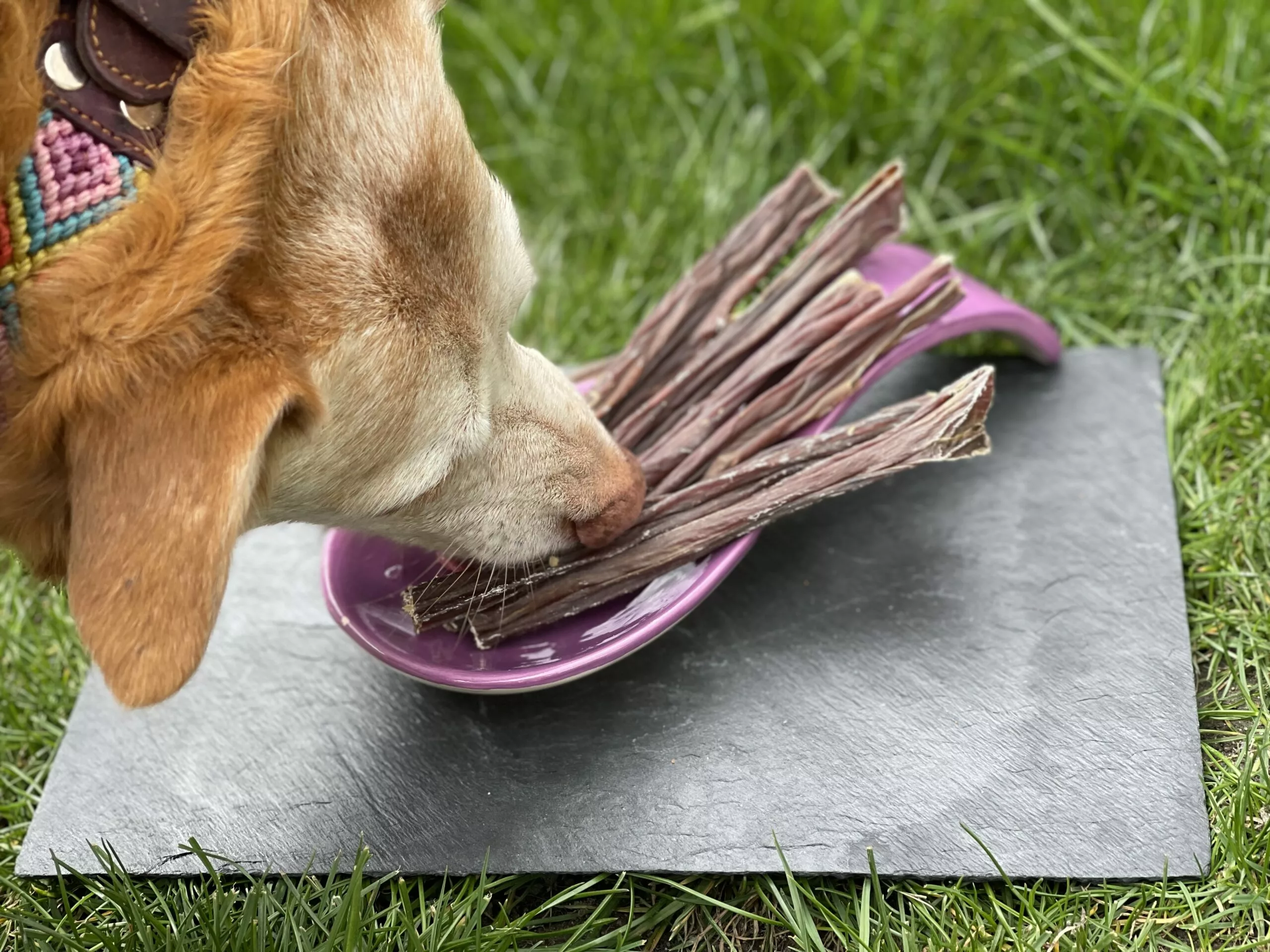 Espagueti de cerdo - Imagen 3