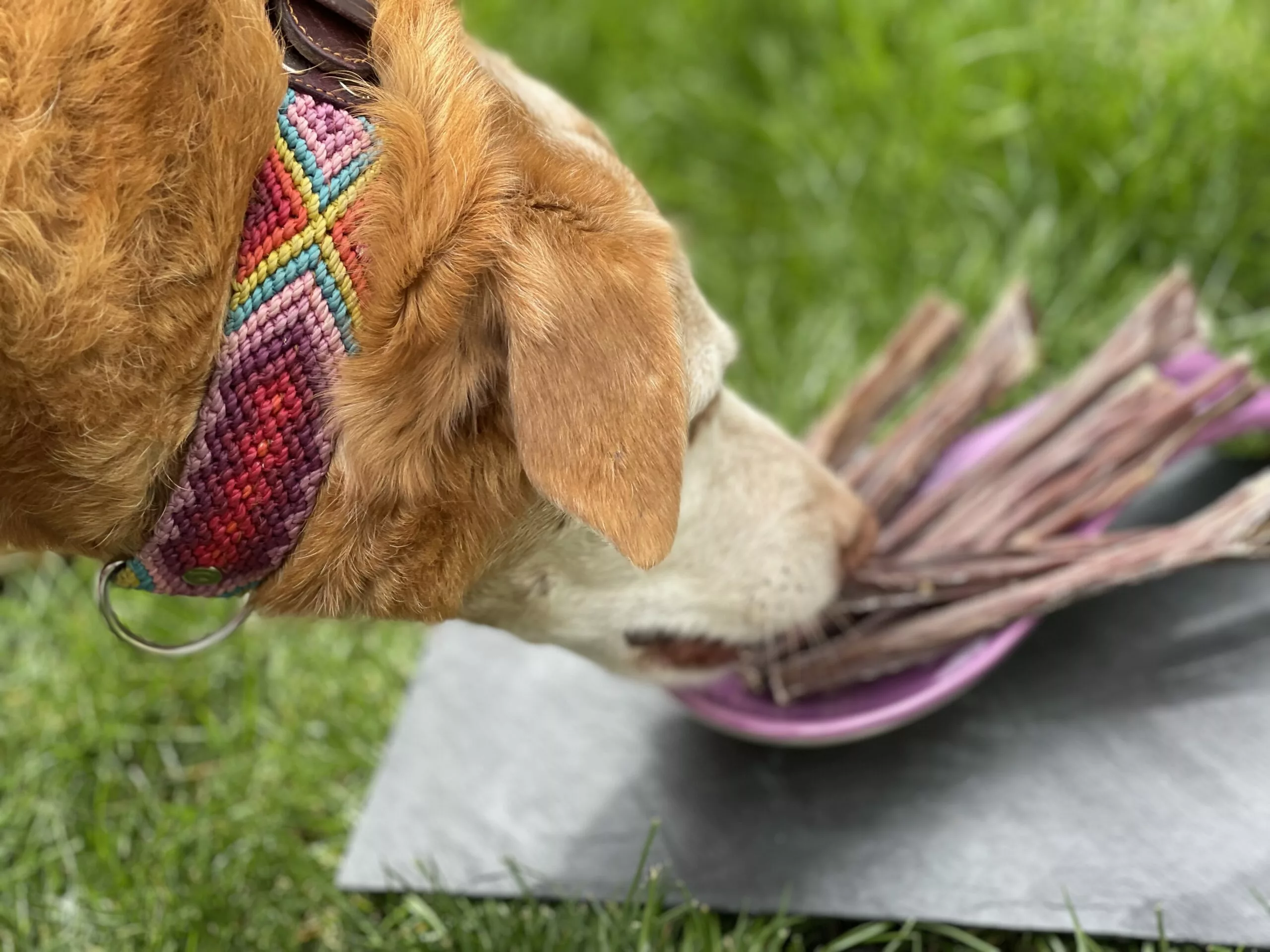 Espagueti de cerdo - Imagen 4