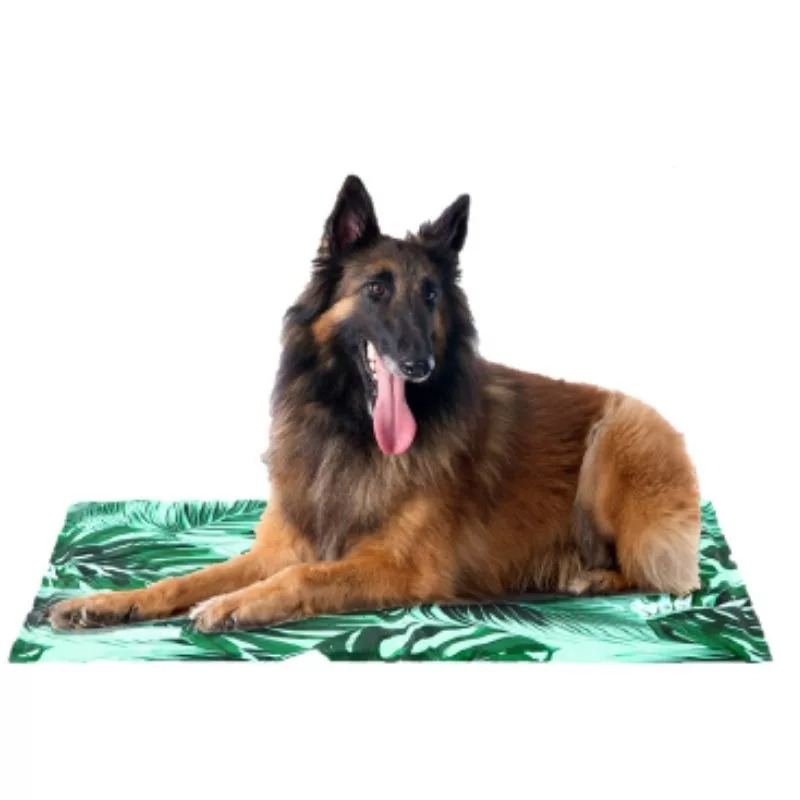 Alfombra Refrescante Freedog Selva