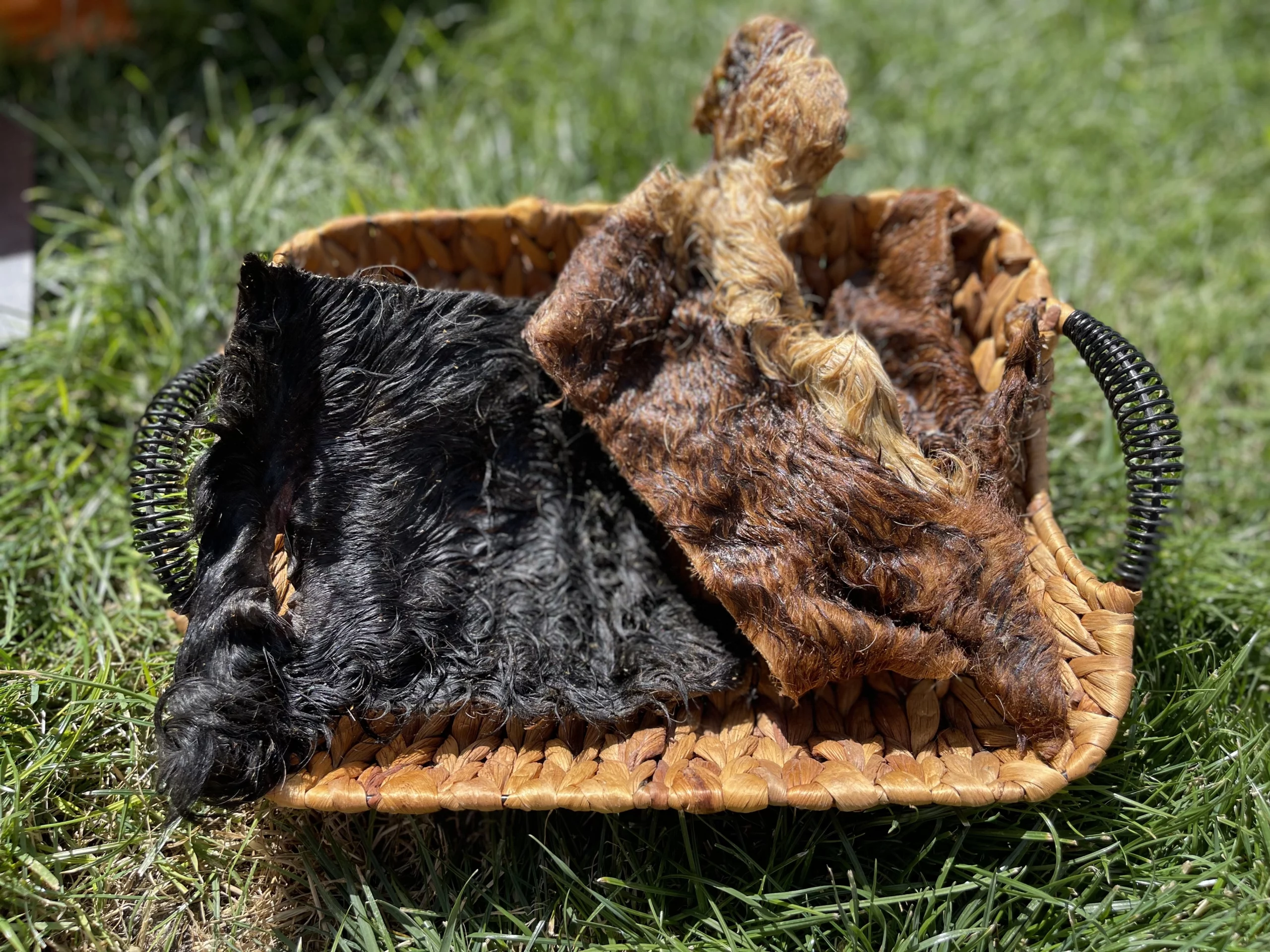 Placa de Caravaca con pelo