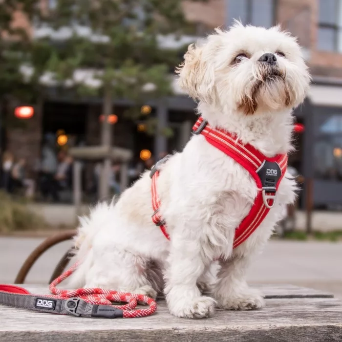 Arnés DOG Copenhagen Confort Walk Air Morado - Imagen 8