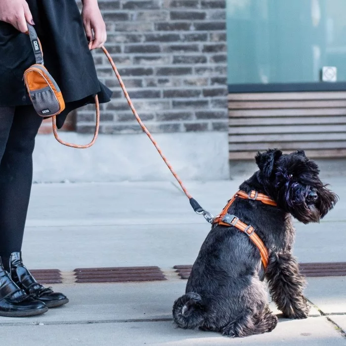 Arnés DOG Copenhagen Confort Walk Air Morado - Imagen 7
