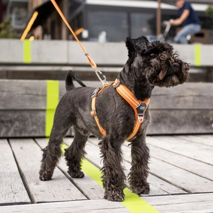Arnés DOG Copenhagen Confort Walk Air Morado - Imagen 12