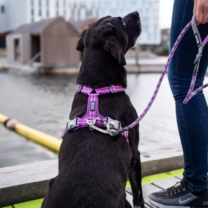 Arnés DOG Copenhagen Confort Walk Air Morado - Imagen 11
