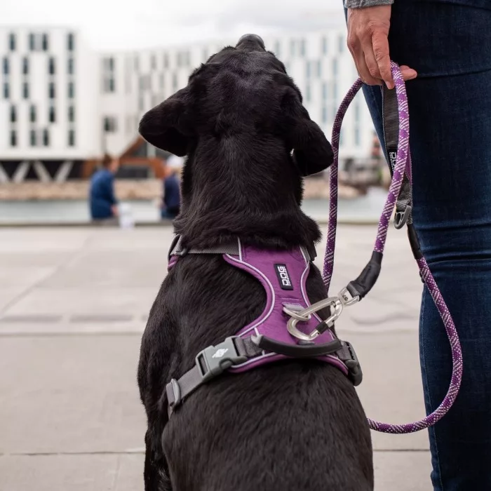 Arnes DOG Copenhagen Confort Walk Pro Rojo - Imagen 9