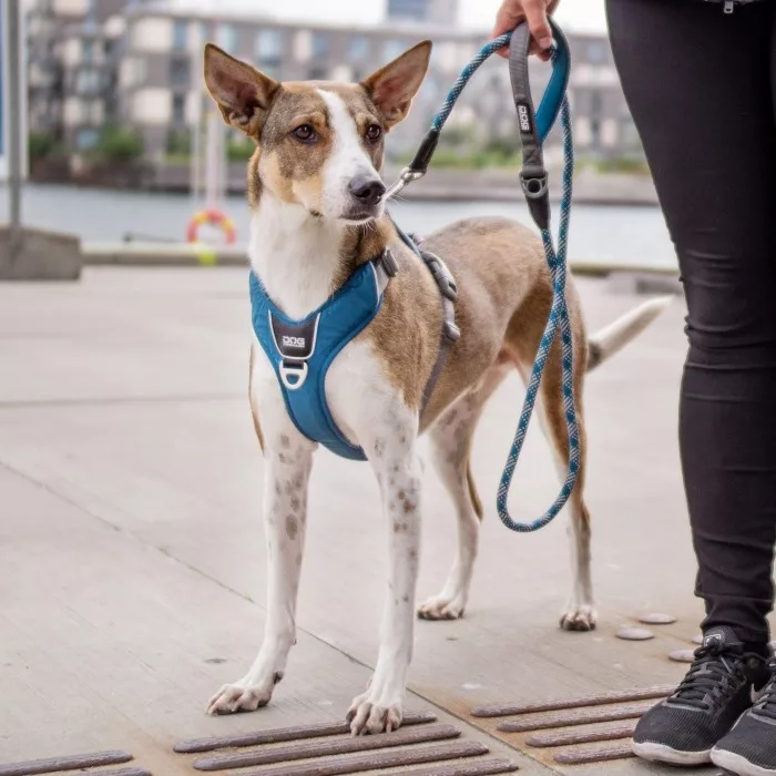 Arnes DOG Copenhagen Confort Walk Pro Rojo - Imagen 8