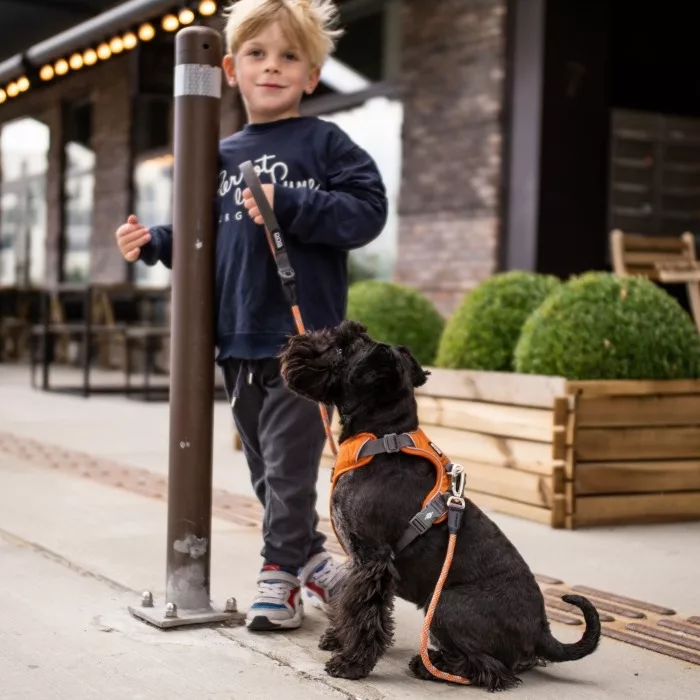 Arnes DOG Copenhagen Confort Walk Pro Rojo - Imagen 7