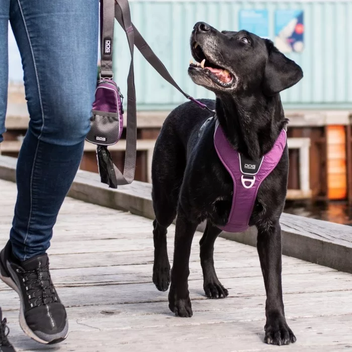 Arnes DOG Copenhagen Confort Walk Pro Rojo - Imagen 5