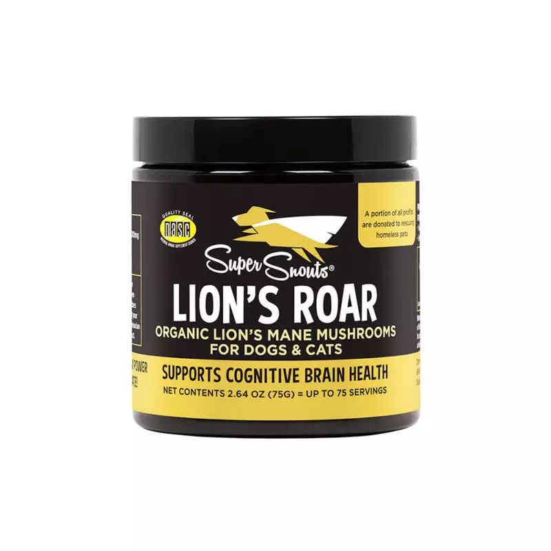 Lion´s Roar Melena de León