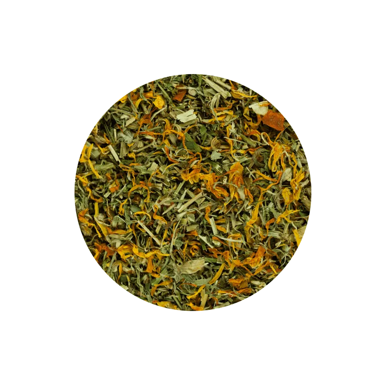 Terra Canis Hierbas Pelaje y Ojos - Imagen 2