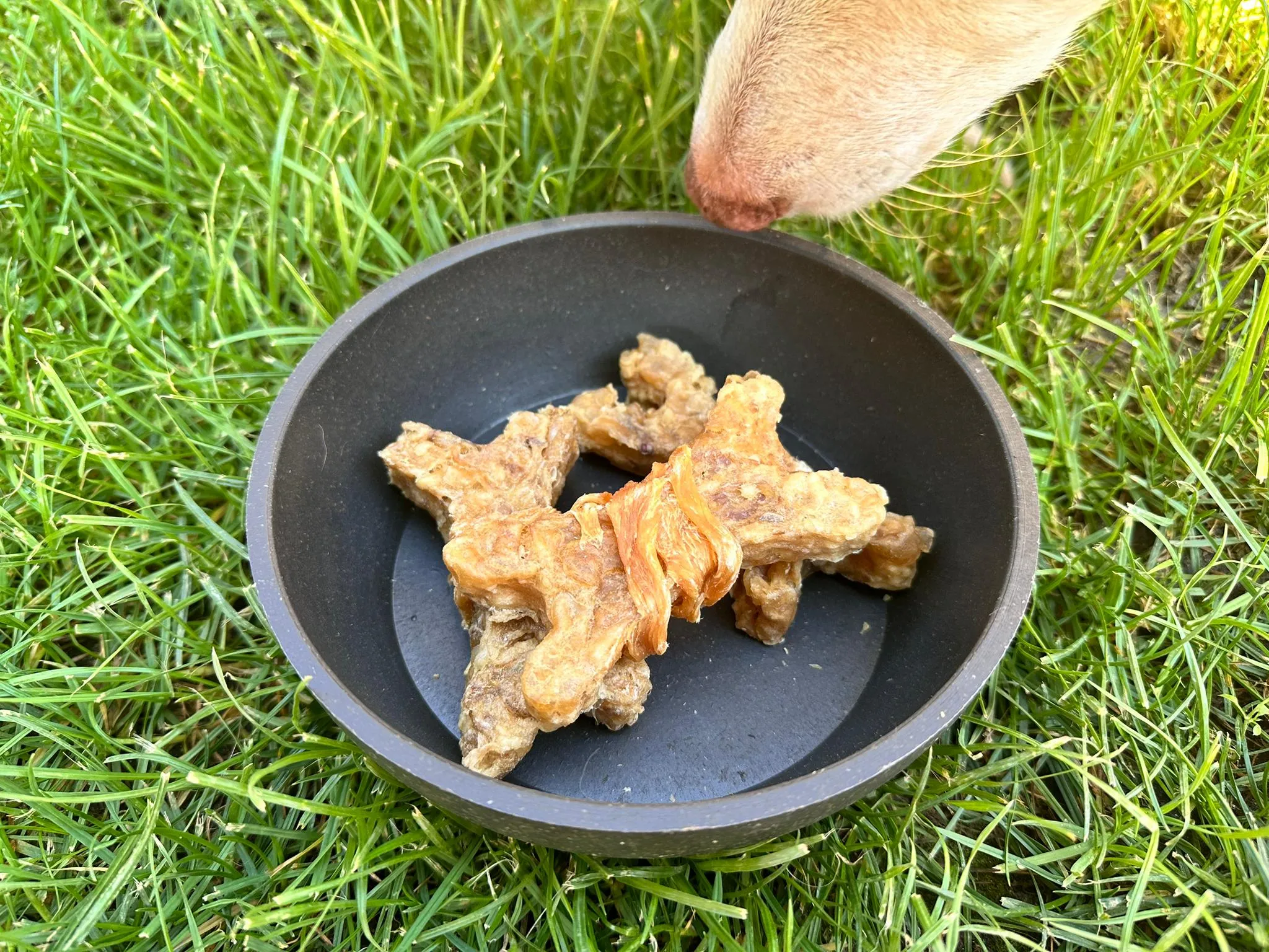 Hueso de Colágeno cubierto de pollo - Imagen 4
