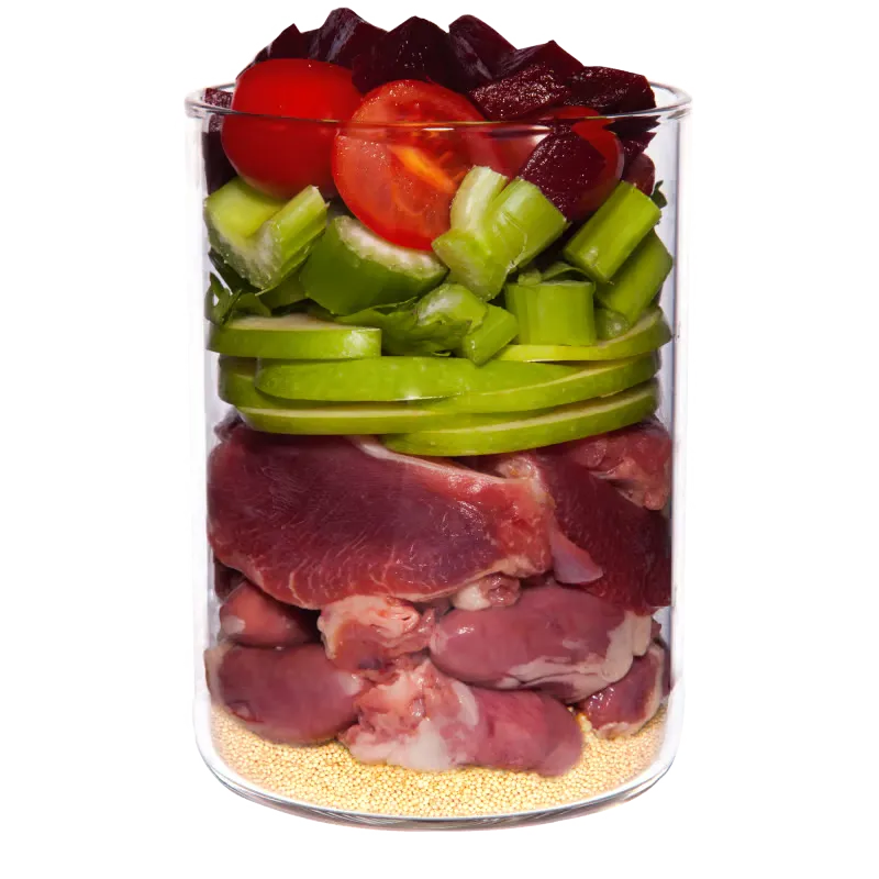 Terra Canis Classic Pollo 400gr - Imagen 2