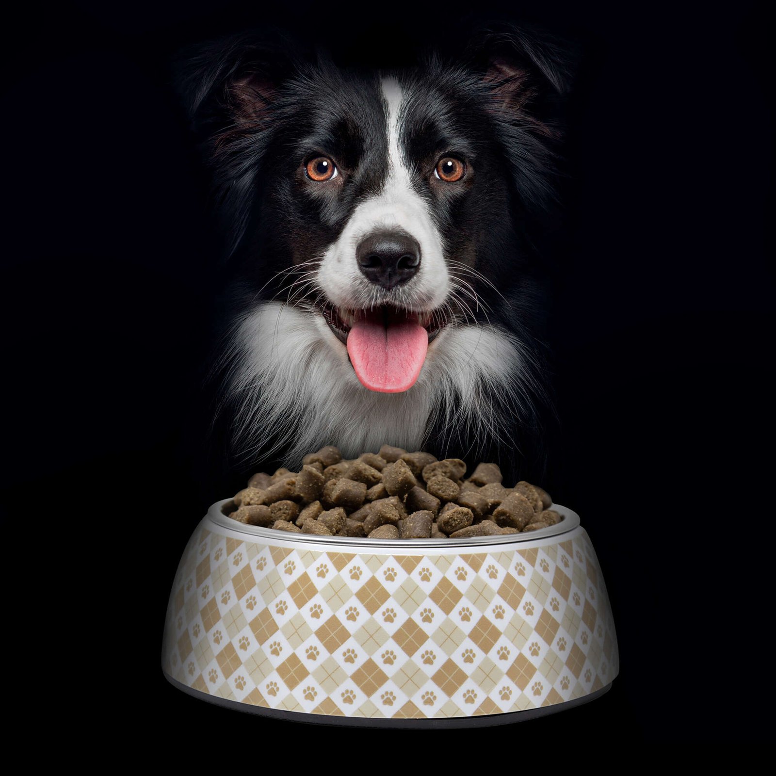 NutraDog WILD Pescado y Pollo – Piel sensible y activos - Imagen 3